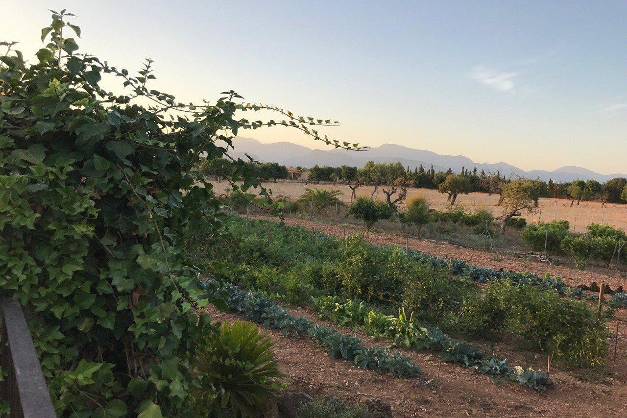Agroturismo Es Quatre Cantons Binissalem Εξωτερικό φωτογραφία