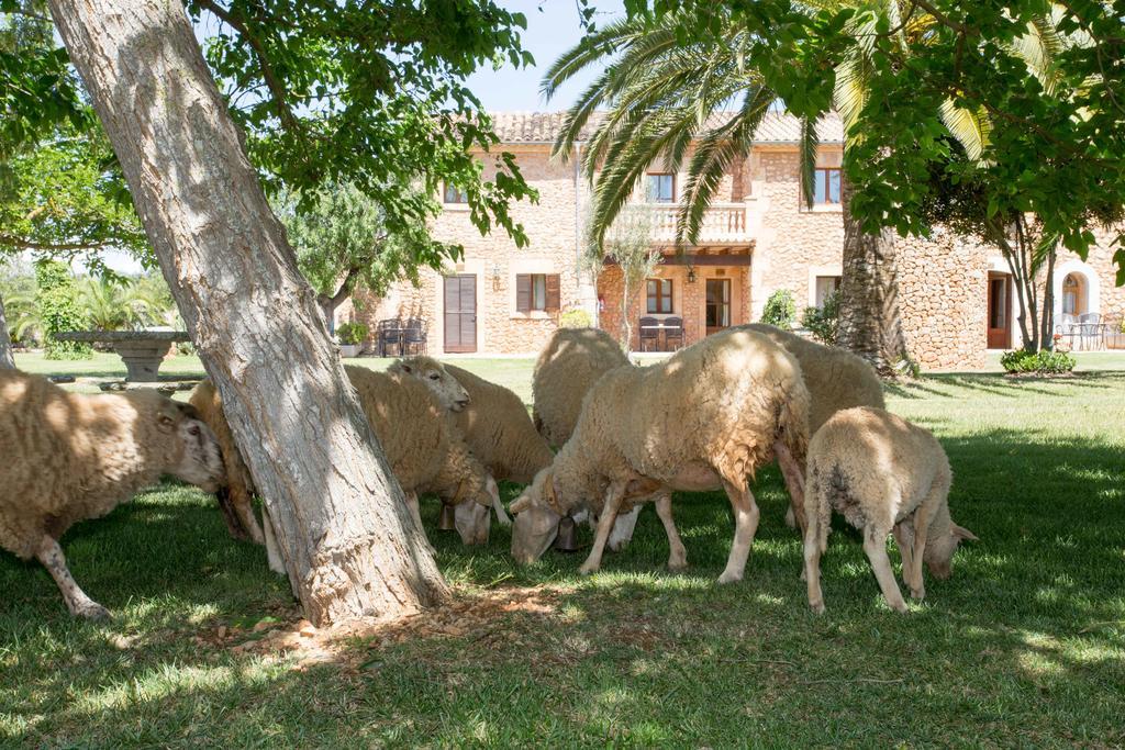Agroturismo Es Quatre Cantons Binissalem Εξωτερικό φωτογραφία