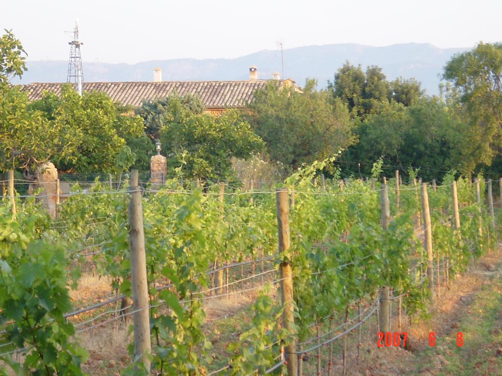 Agroturismo Es Quatre Cantons Binissalem Εξωτερικό φωτογραφία